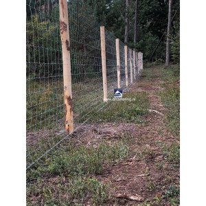 Fence for Plant areas on the Veluwe