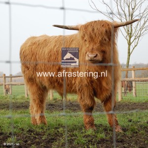 Post en Rail Drenthe Post en Rail Drenthe